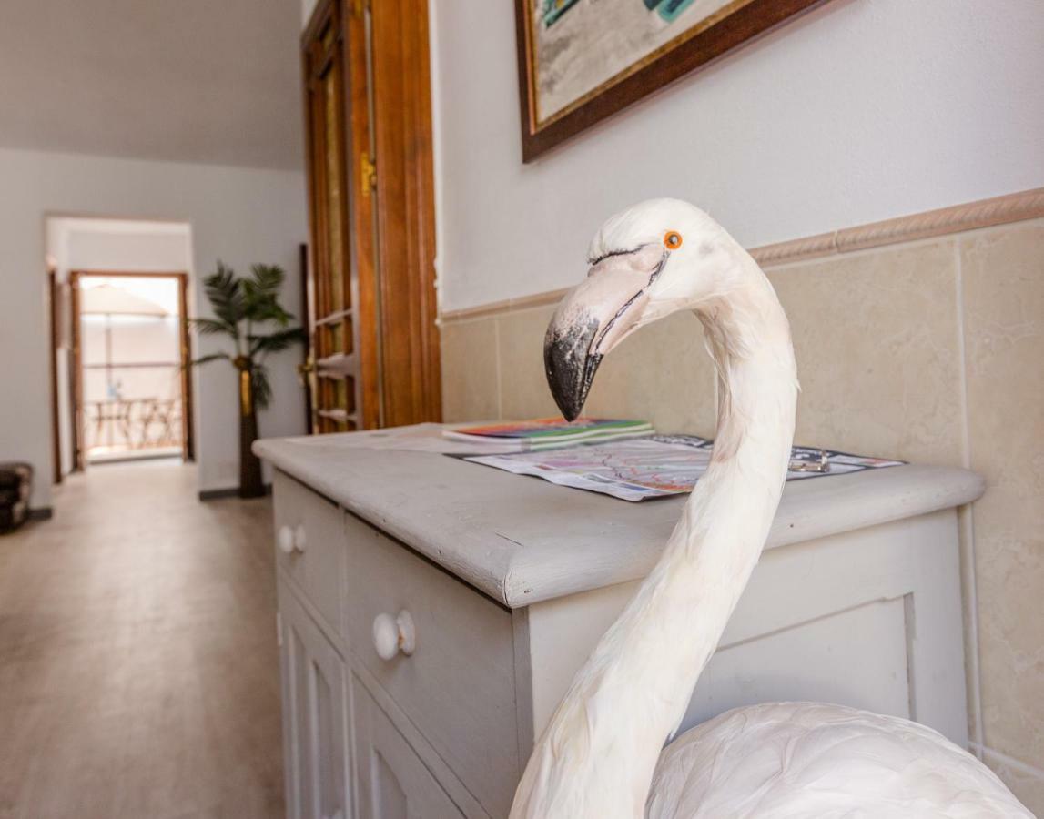 Alhaurin Old Town, Casa Flamingo, 2 Bed Apartment Alhaurín el Grande Zewnętrze zdjęcie